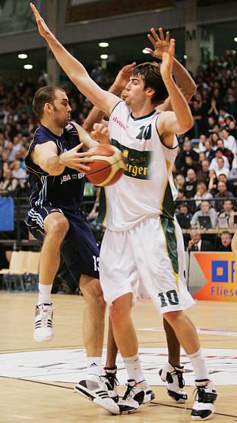 德国海洛羽 德国海洛羽